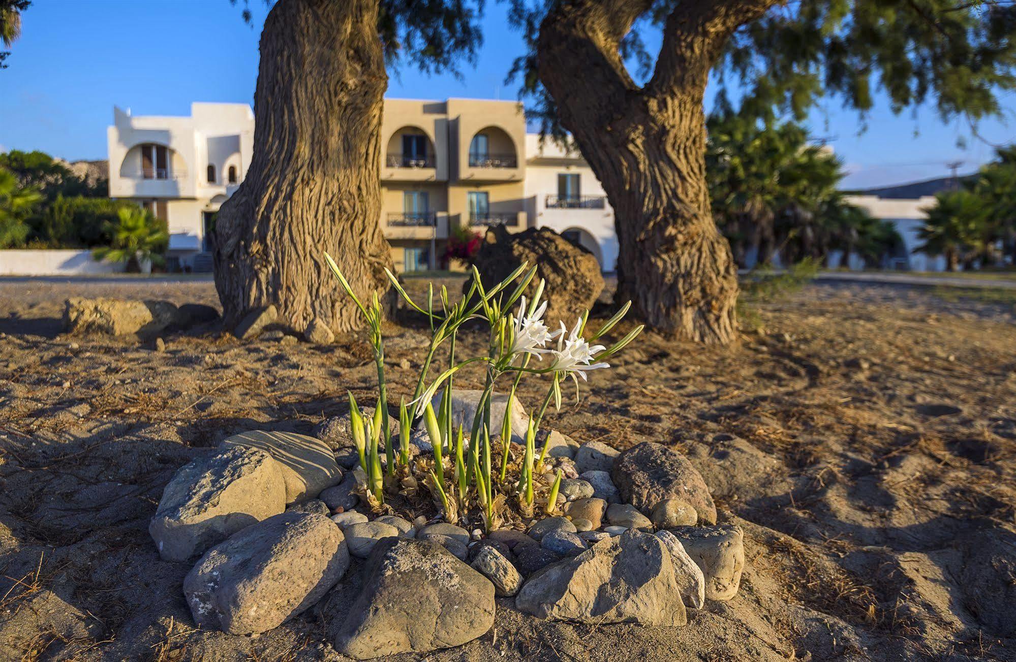 Olympia Mare Aparthotel Kardamena  Bagian luar foto